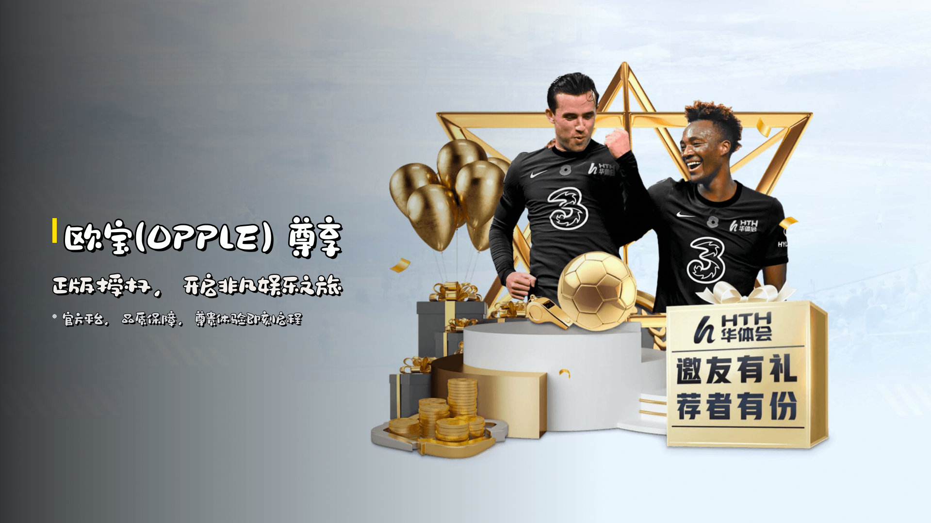 <strong>欧宝(OPPLE)</strong> 尊享正版授权，<br>开启非凡娱乐之旅